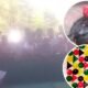 Arena Sabung Ayam di Lekok Ramai Lagi, Warga Gelisah, Polisi Ditunggu Aksinya?